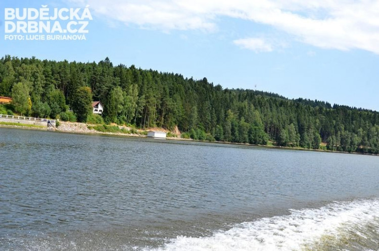 Lipenské břehy lemují lesy