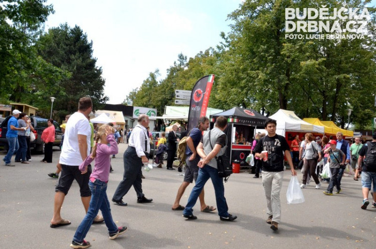 40. Země živitelka 2013