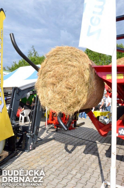 40. Země živitelka 2013