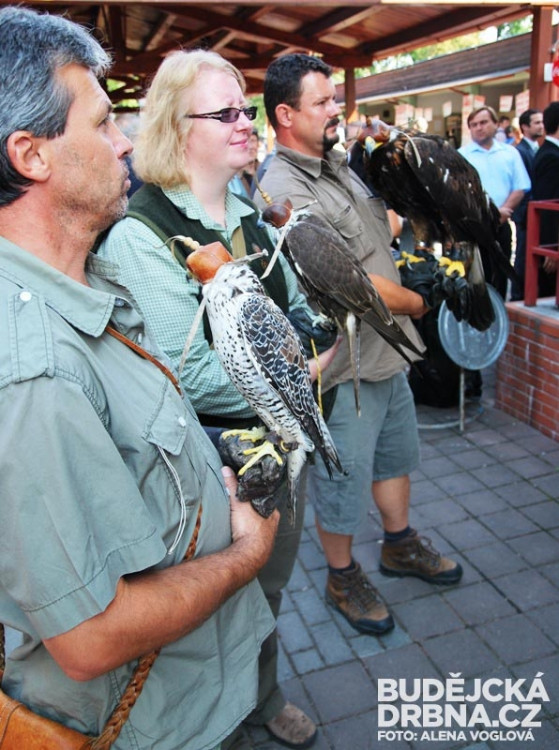 Sokolníci se též přišli podívat na zahájení dožínek