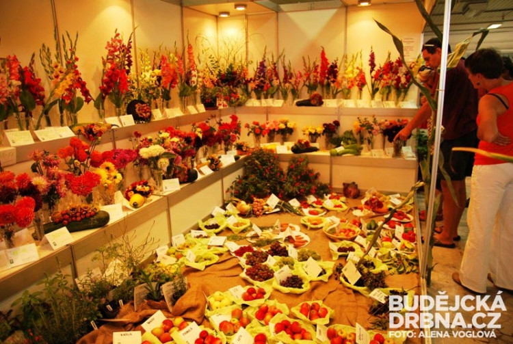 Zahrádkáři se měli na co dívat