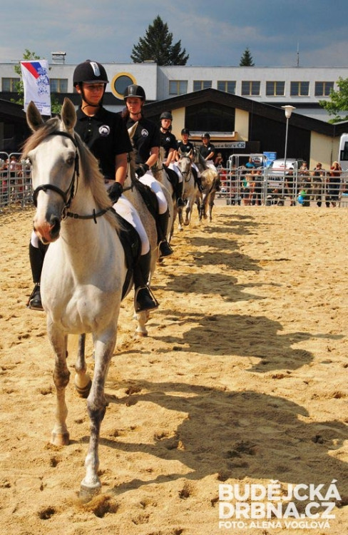 Žákyně Střední školy chovu koní a jezdectví Kladruby nad Labem předvedvedly své dovednosti