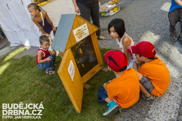 Kulturní festival Město lidem / lidé městu