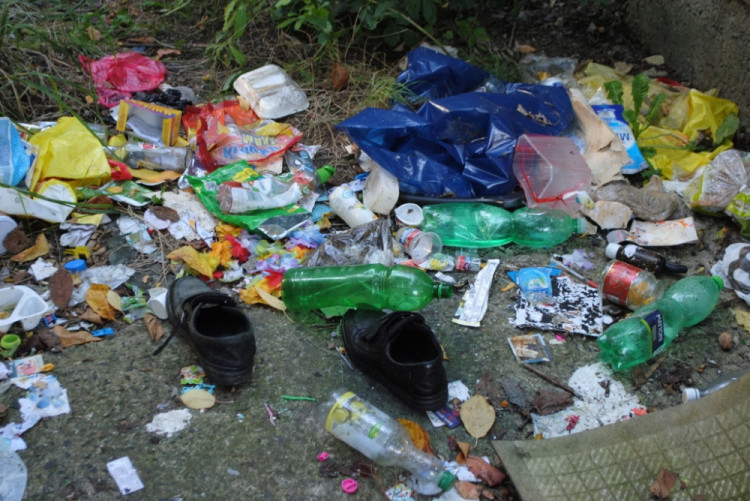 Hned při vstupu z chodníku je tohle