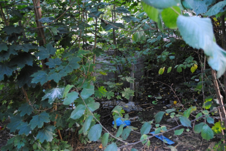 Ze studny byl také stůl