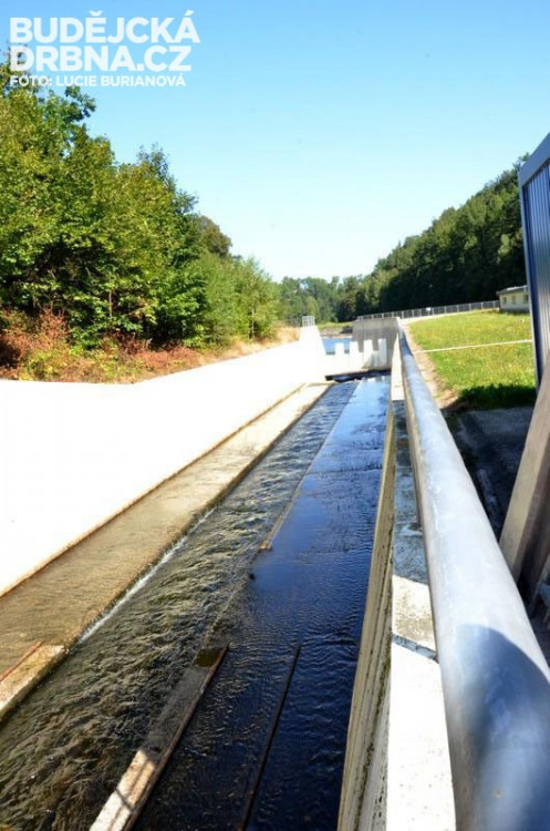 Koryto spodní výpusti hráze
