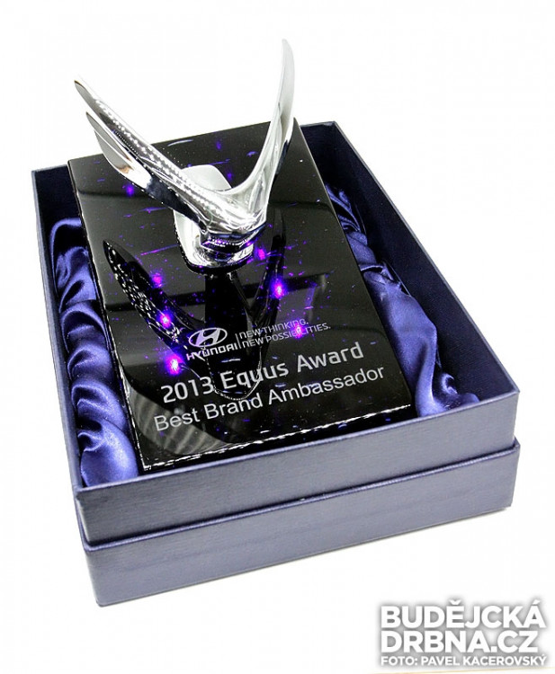 Významné ocenění