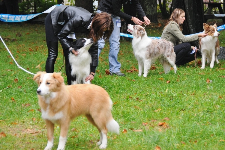 Podještědská výstava psů, 30. ročník