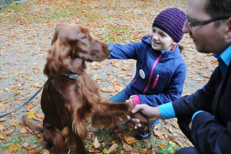 Podještědská výstava psů, 30. ročník
