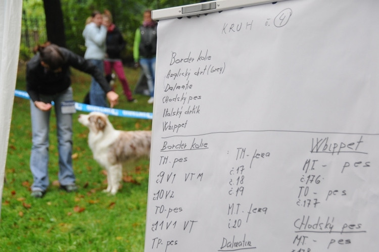 Podještědská výstava psů, 30. ročník