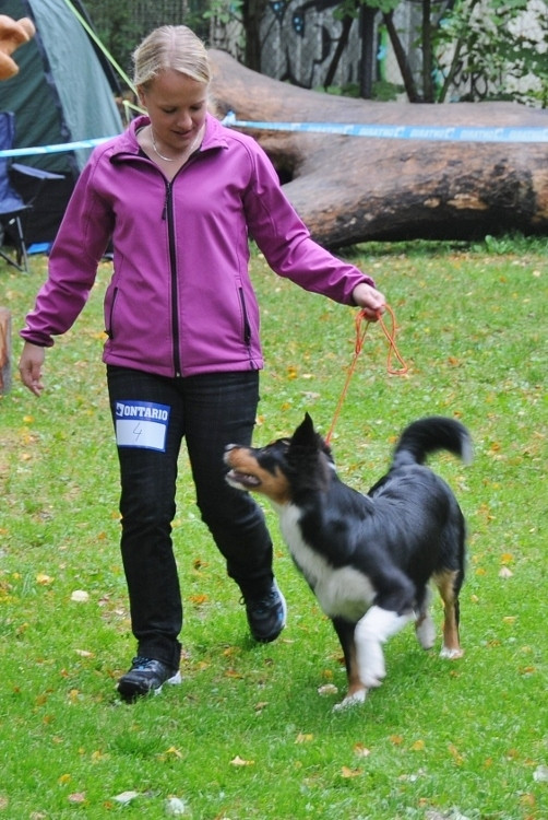 Podještědská výstava psů, 30. ročník