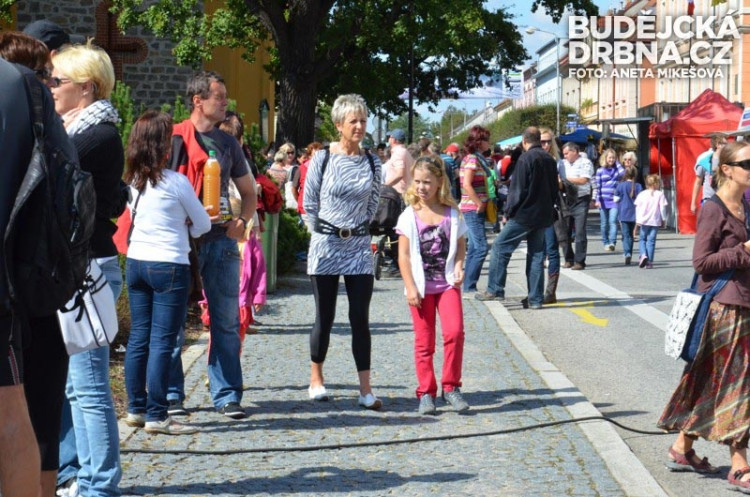 Jihočeské slavnosti vína v Hluboké