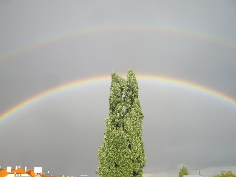 Dukelská směrem k nádraží. Foto Petr Šiška
