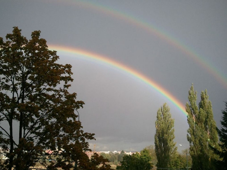 Sídliště Máj. Foto Brooclynn