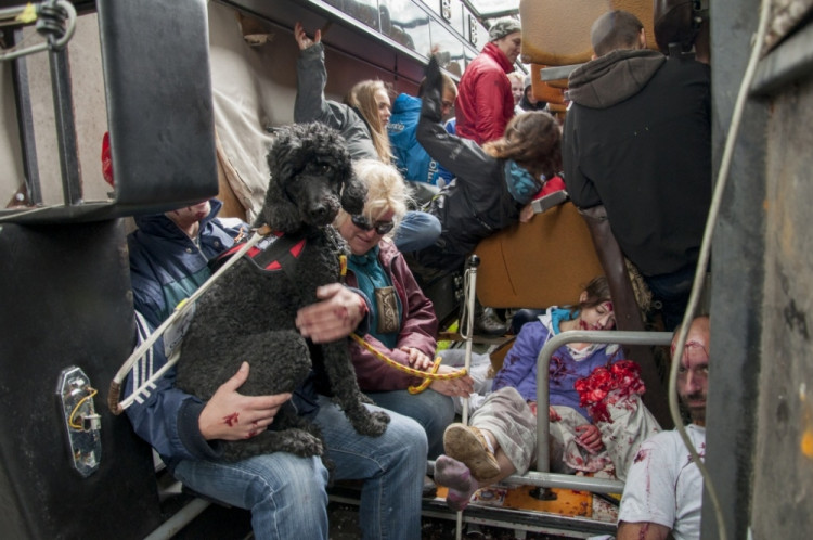 Cvičná nehoda autobusu v Hrádku nad Nisou