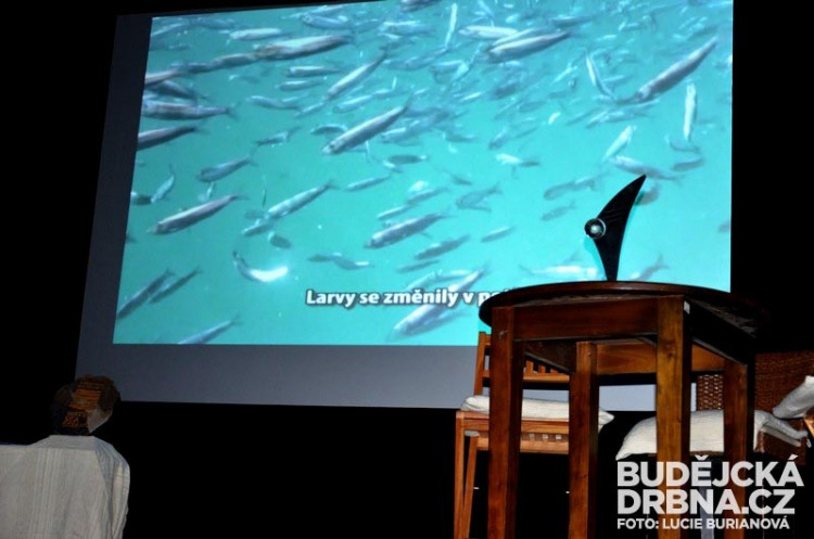 Filmy představily vodu slanou, sladkou i zmrzlou