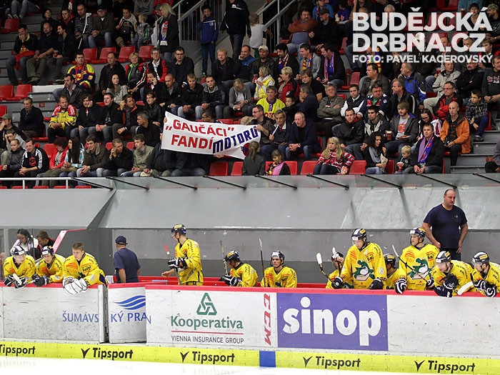 Gaučáci fandí Motoru