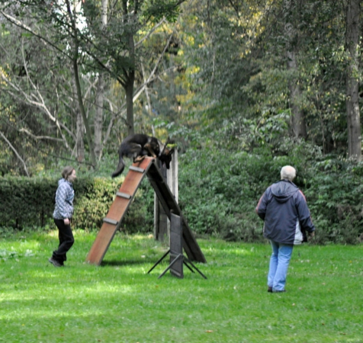 Soutěž v Pavlovicích