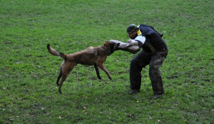 Soutěž v Pavlovicích