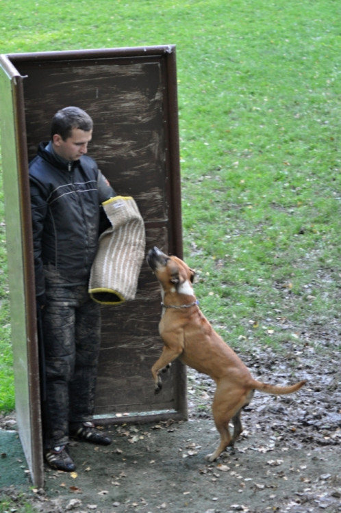 Soutěž v Pavlovicích