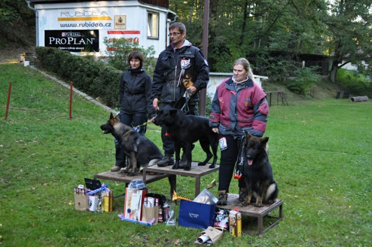 Soutěž v Pavlovicích