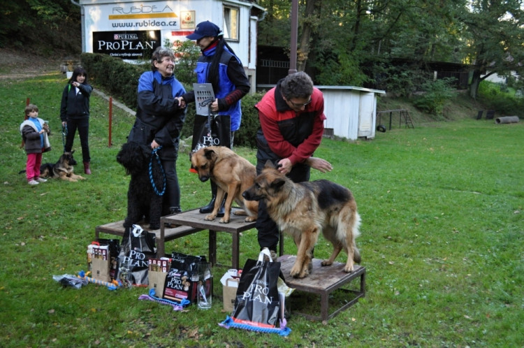 Soutěž v Pavlovicích
