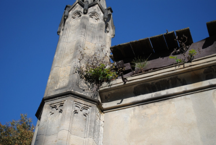 Z krovu rostou malé břízy