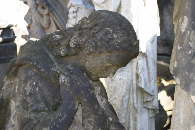 Sochy jsou naházeny v rohu areálu a oploceny