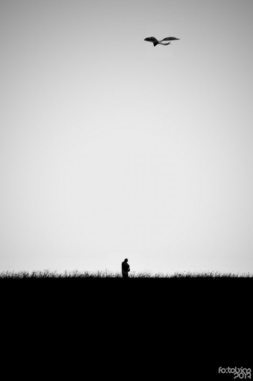 Sobotní pouštění draků na Dubičáku