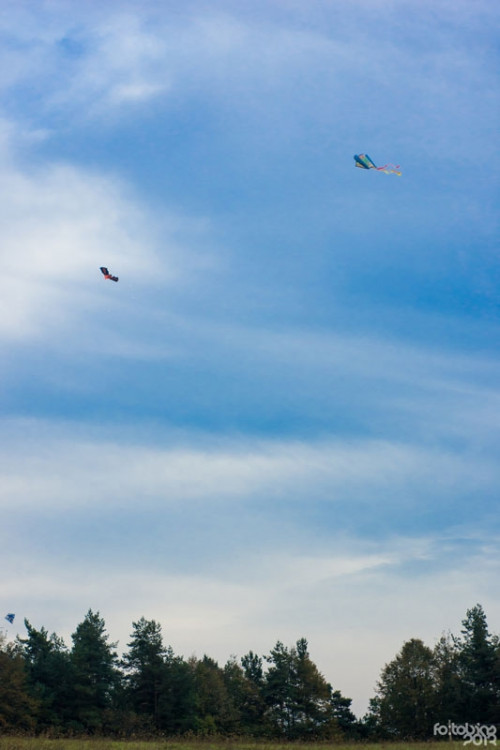 Sobotní pouštění draků na Dubičáku