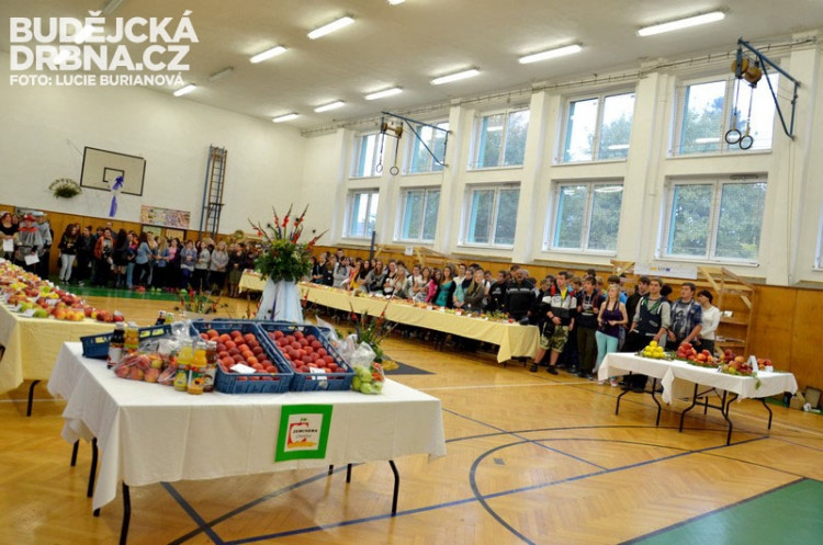 Regionální výstava ovoce v Budějcích