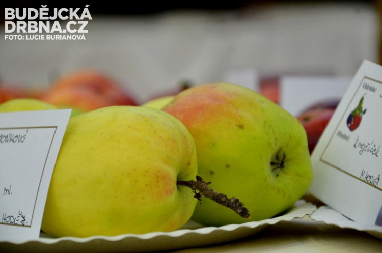 Regionální výstava ovoce v Budějcích