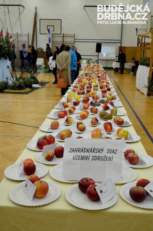 Regionální výstava ovoce v Budějcích