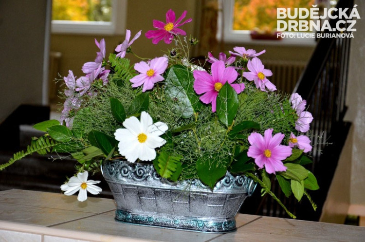 Regionální výstava ovoce v Budějcích