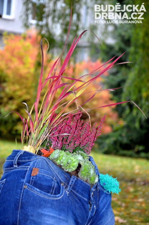 Regionální výstava ovoce v Budějcích