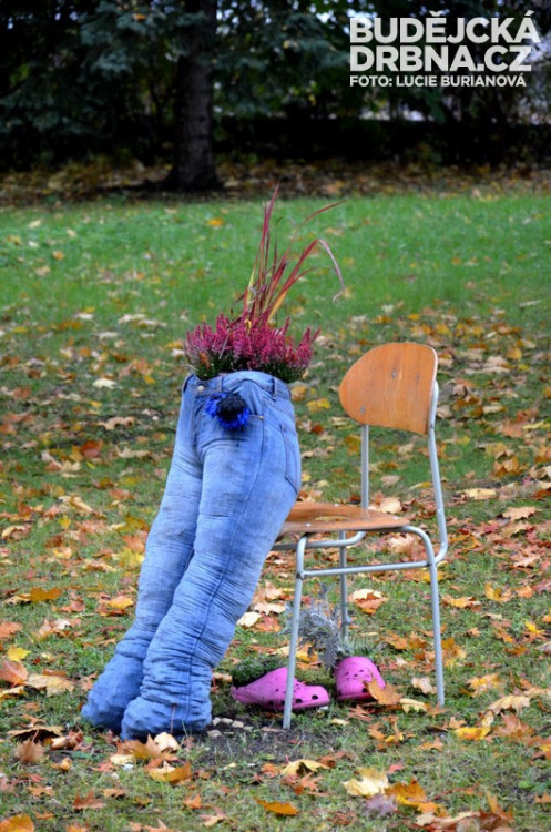 Regionální výstava ovoce v Budějcích