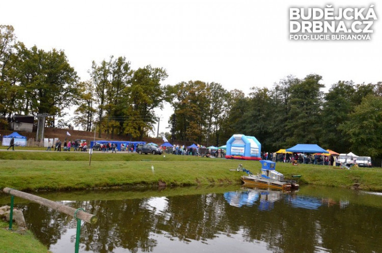 Výlov rybníku Rožmberk