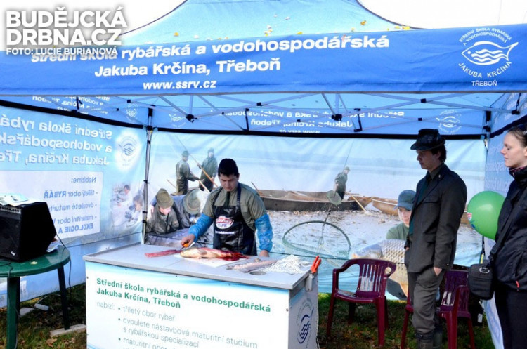 Výlov rybníku Rožmberk