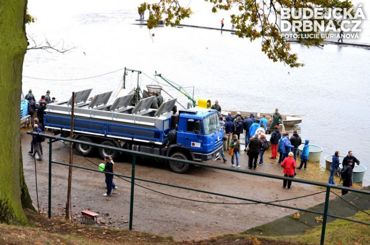 Výlov rybníku Rožmberk