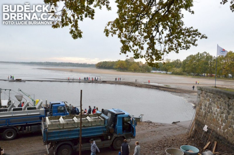 Výlov rybníku Rožmberk