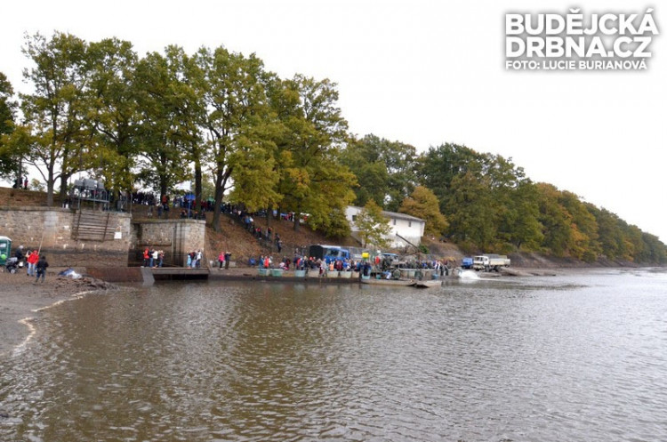 Výlov rybníku Rožmberk