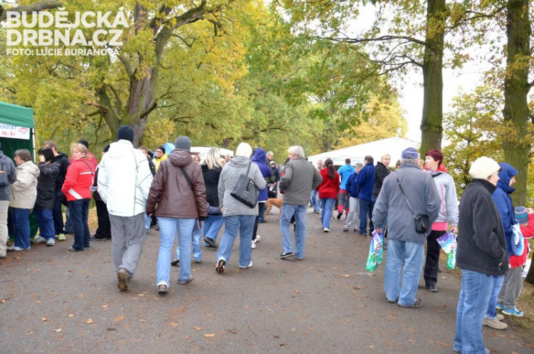 Výlov rybníku Rožmberk
