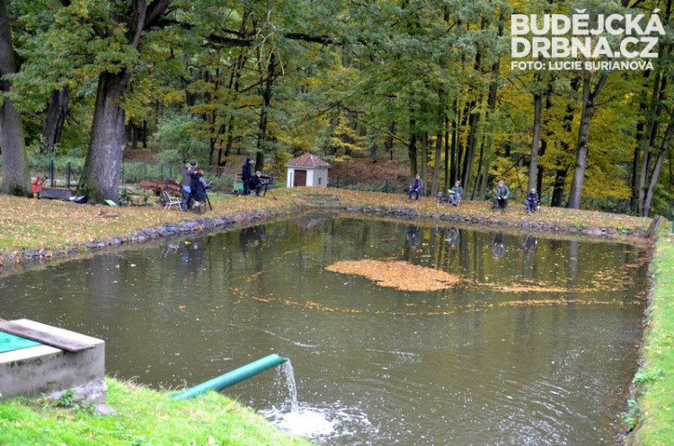 Výlov rybníku Rožmberk