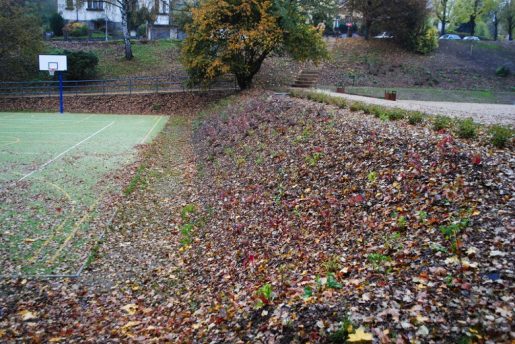 Svah mezi hřišti. Tady možná mohla vyrůst i malá tribunka.