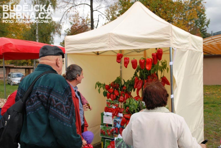 Papriky udivovaly kolemjdoucí