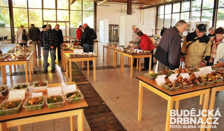 Výstava hub opět zaujala spousty návštěvníků