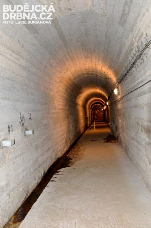 Orlická přehrada pod drobnohledem