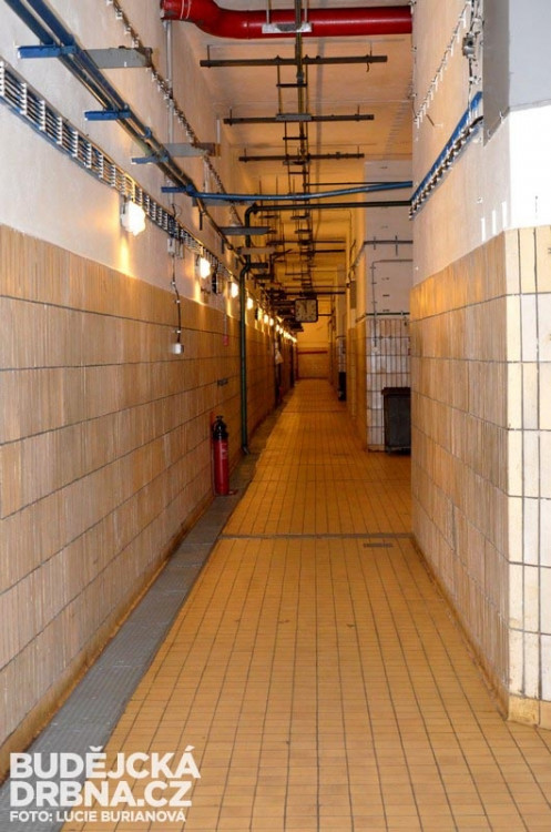 Orlická přehrada pod drobnohledem