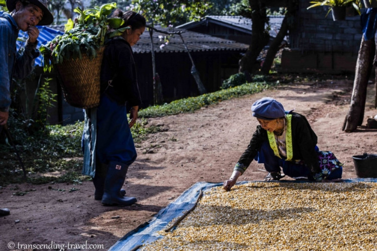 Transcending-Travel.com