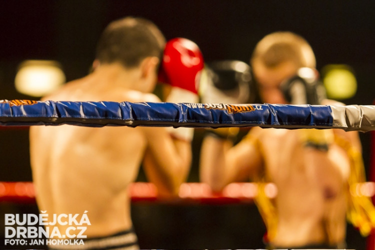 Pardál Gladiators Night 2013